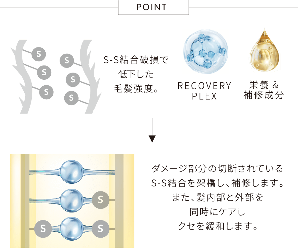 栄養・補修成分